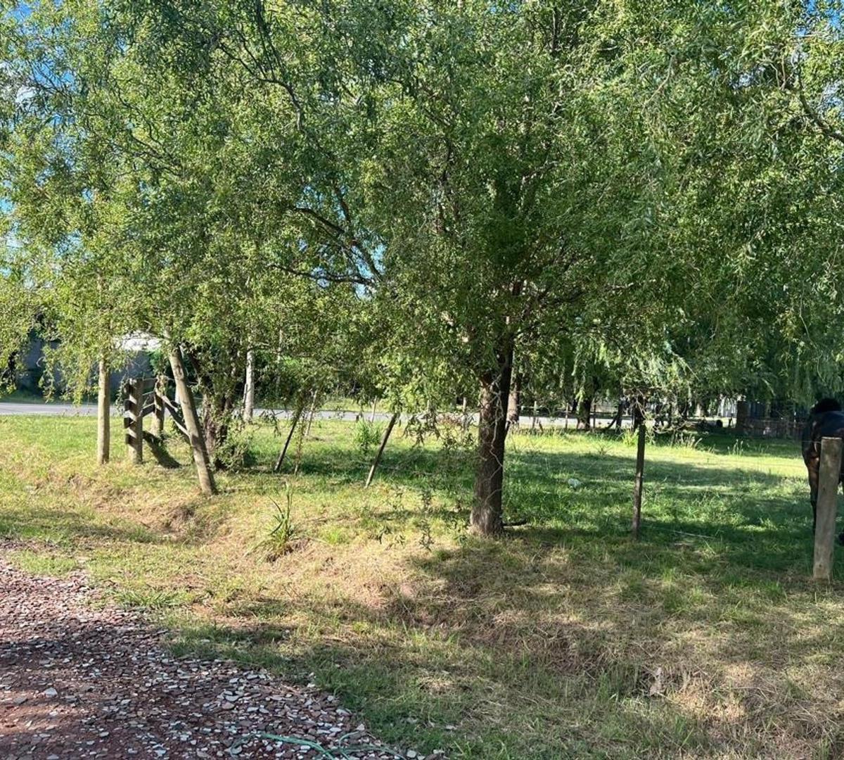 En Esquina - Residencial - Comercial 5