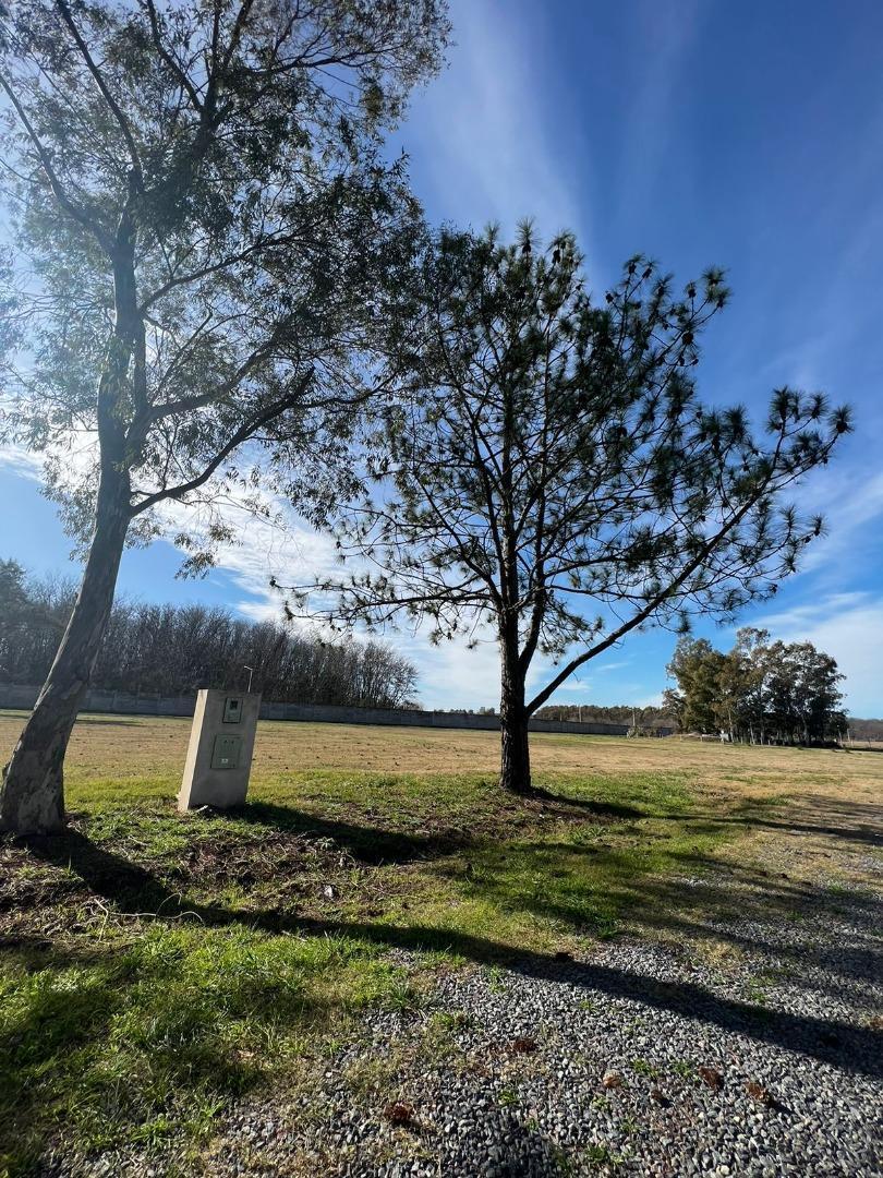 Lote - Terreno en venta en Cañuelas