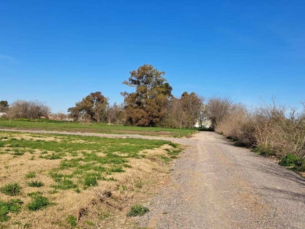 Loteo - Terrenos en Venta - Cañuelas - "El Molino" 4