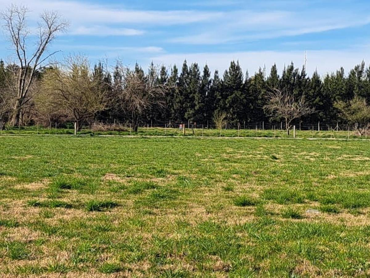 Loteo - Terrenos en Venta - Cañuelas - "El Molino" 2