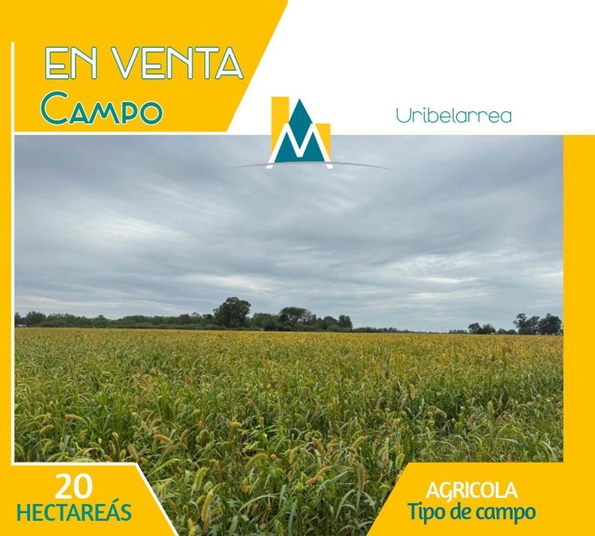 Campo con gran casco - Gran casa principal