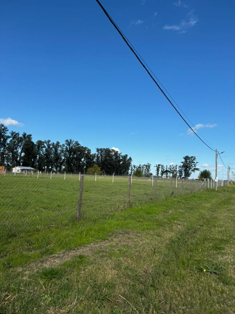 Amplio Lote de Reventa en "Chacritas de Cañuelas" con Mejora 4