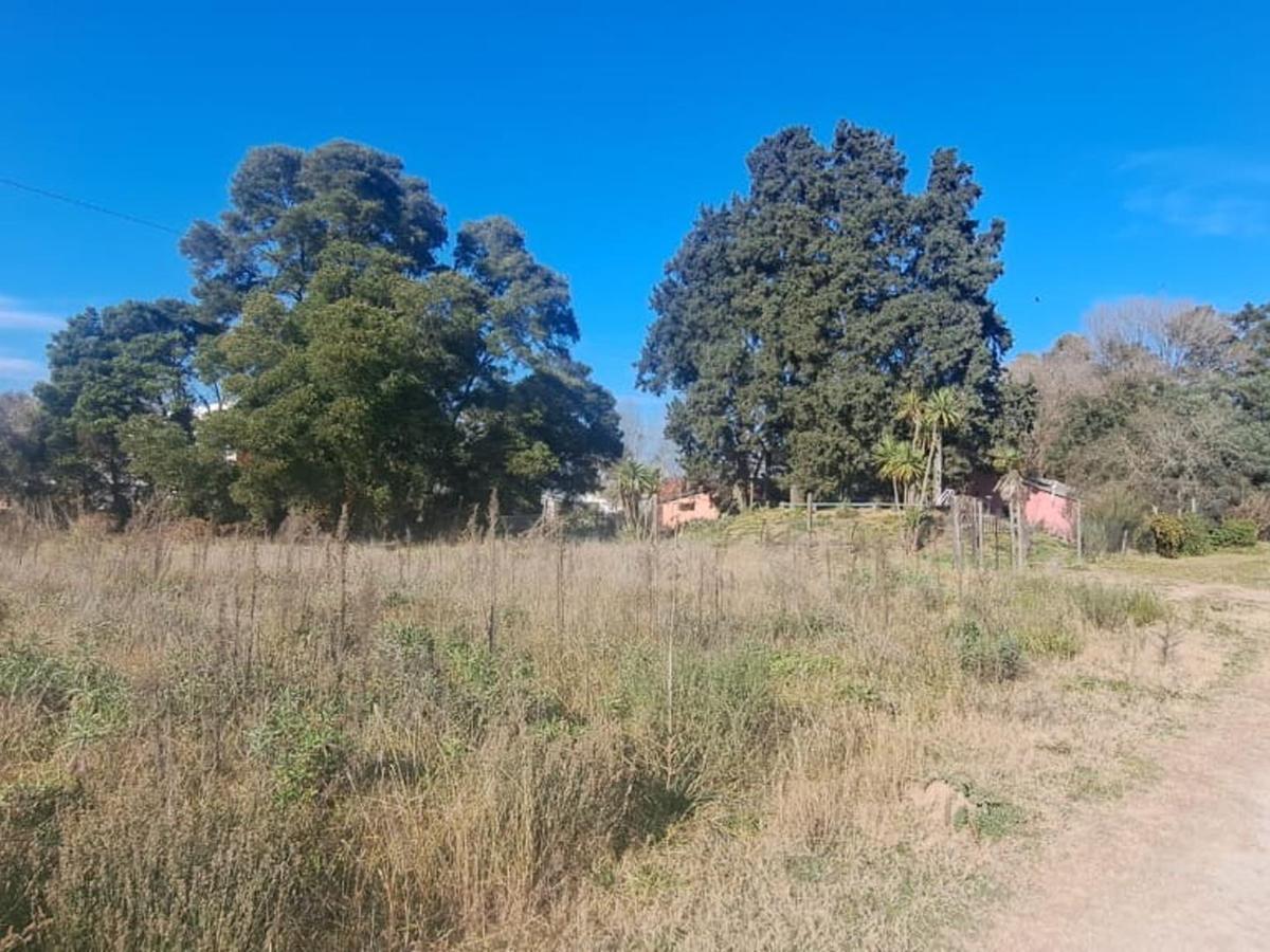 Lotes - Terrenos en Venta en Cañuelas 2
