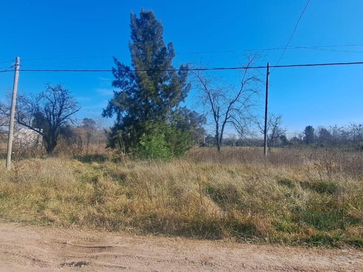 Lotes - Terrenos en Venta en Cañuelas 4