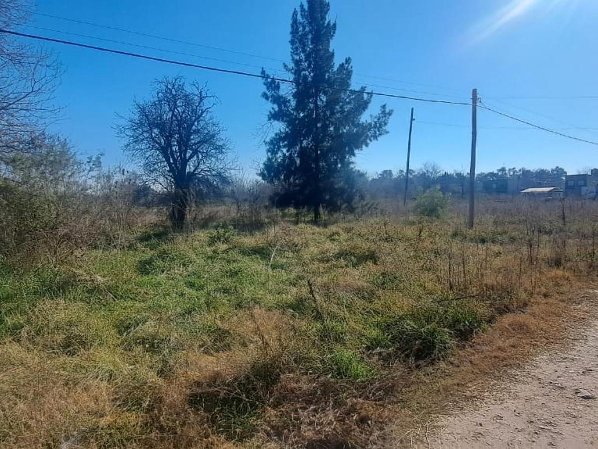 Lotes - Terrenos en Venta en Cañuelas 3