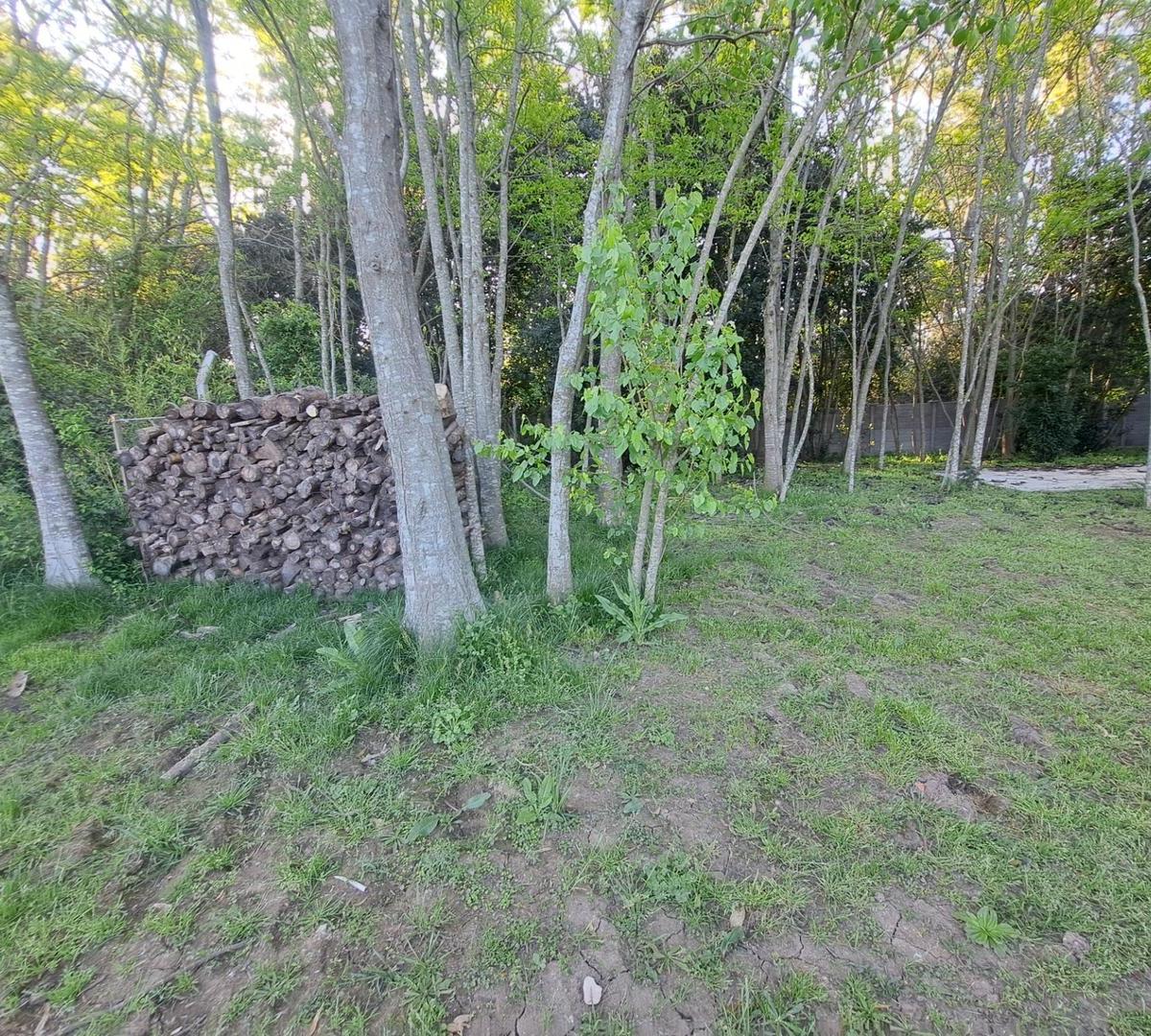 A Estrenar - con Pileta y Bosque Propio 4