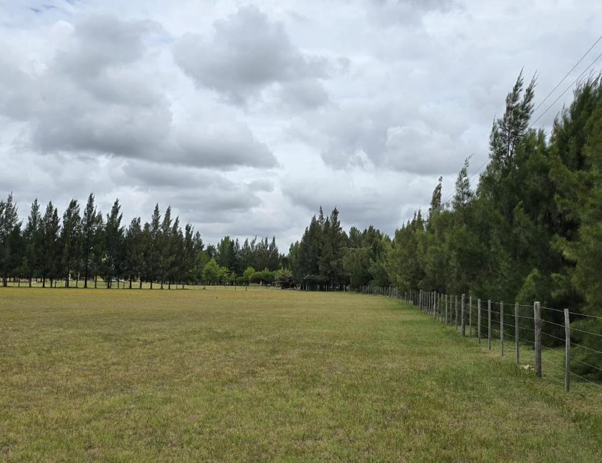 TERRENO  - Lote en venta en brandsen