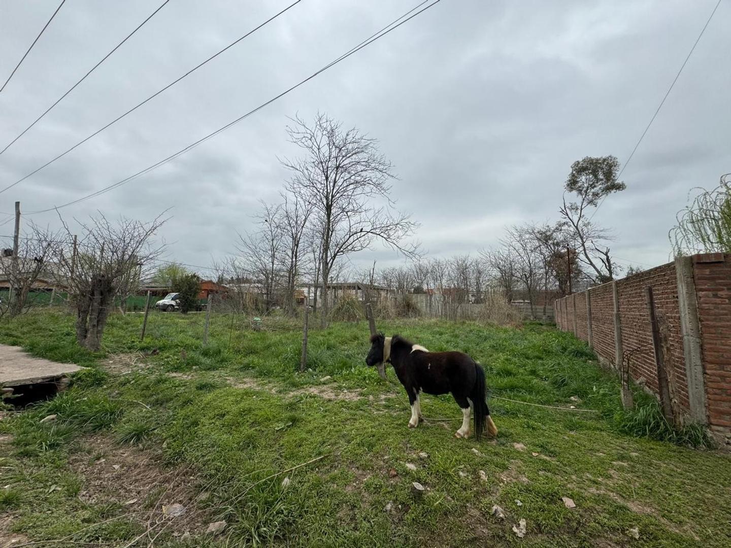 Terrenos en Venta en Cañuelas