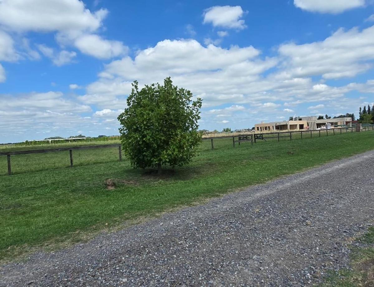 Terreno en Venta en Cañuelas en Barrio Cerrado 2