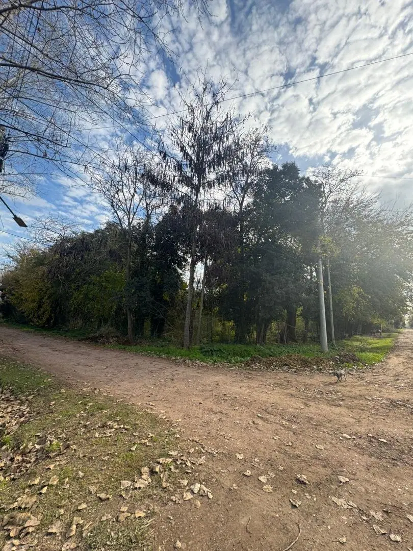 LOTES-TERRENOS EN VILLA ADRIANA CAÑUELAS 1