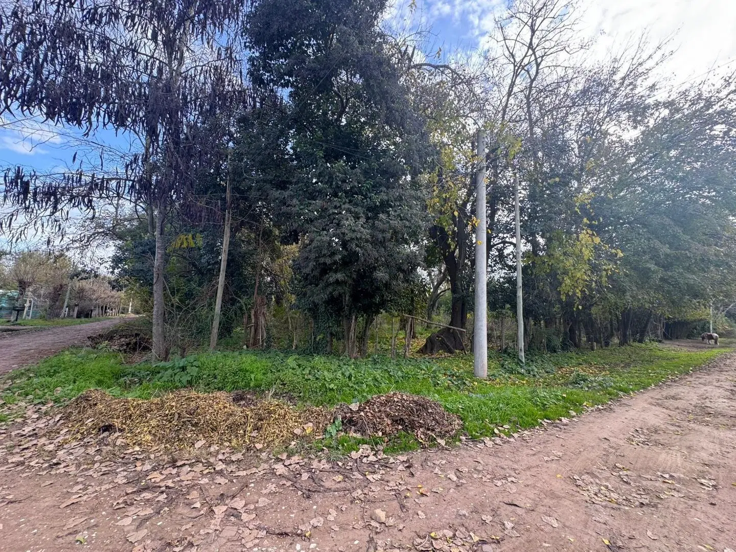LOTES-TERRENOS EN VILLA ADRIANA CAÑUELAS 4