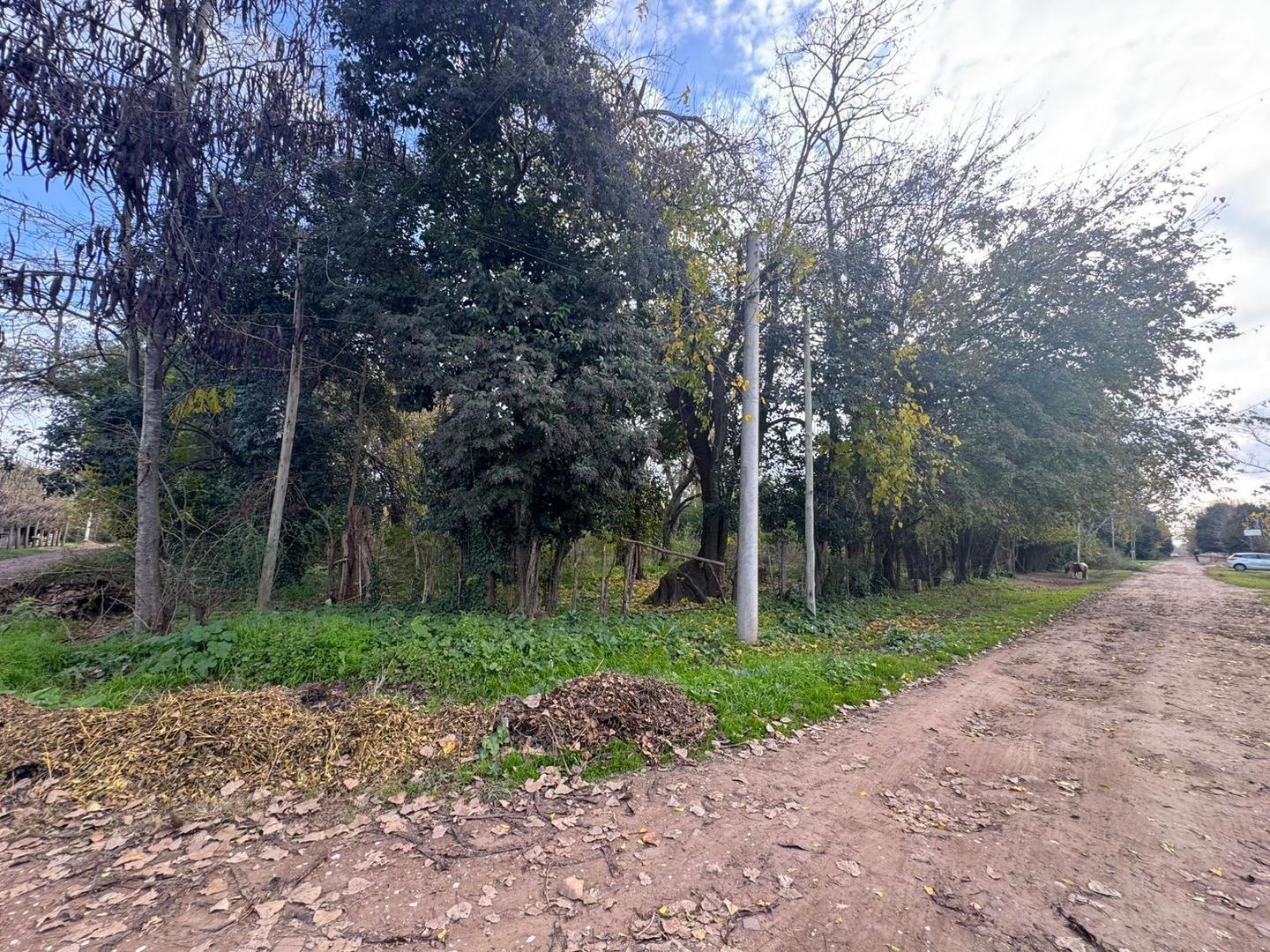 Foto de LOTES-TERRENOS EN VILLA ADRIANA CAÑUELAS, imagen 5