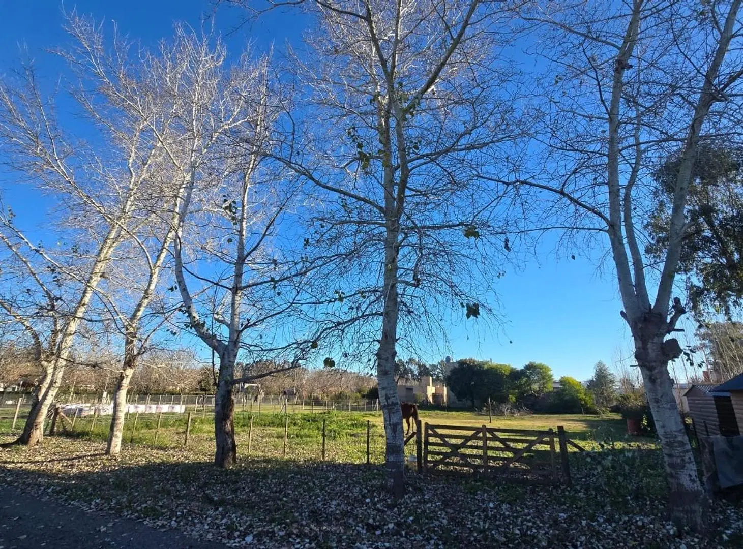 Lote en venta en san Miguel del Monte 5