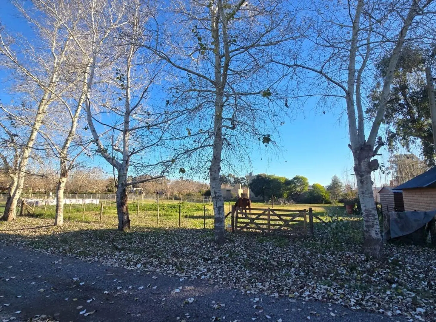 Lote en venta en san Miguel del Monte 1