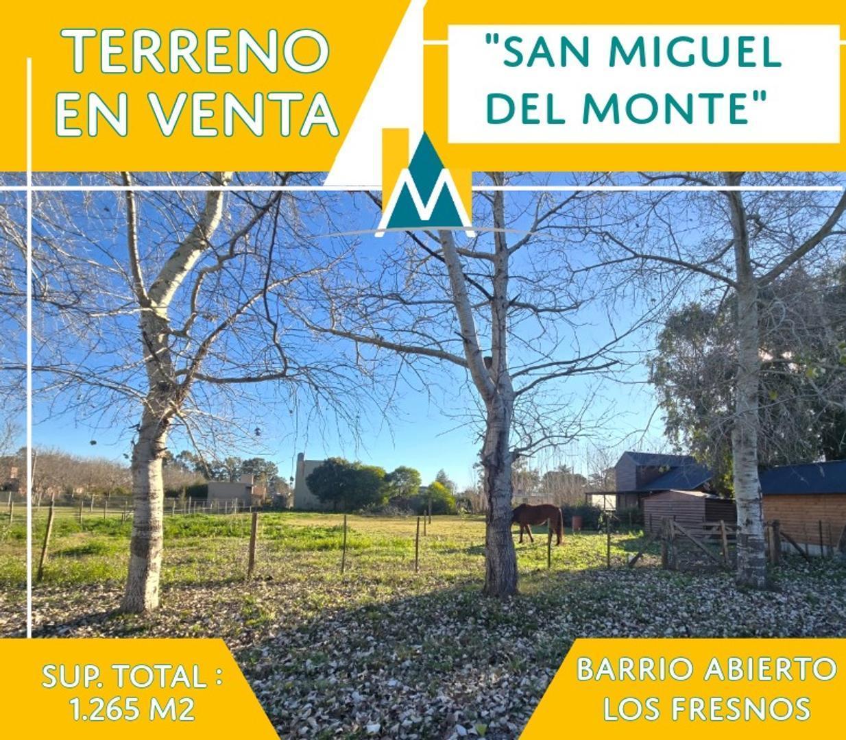 Foto de Lote en venta en san Miguel del Monte, imagen 2