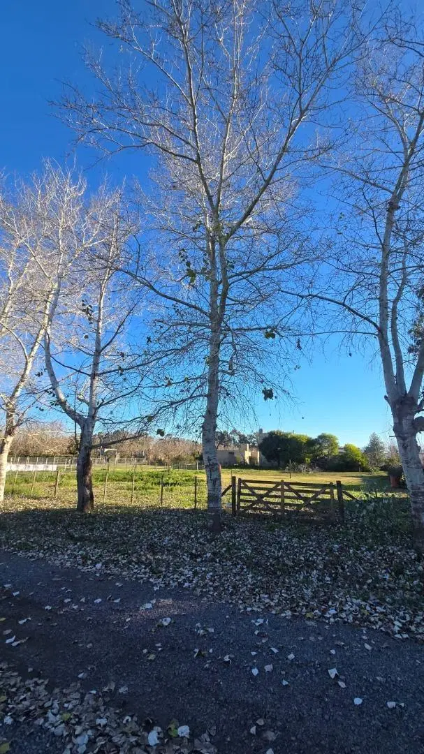 Lote en venta en san Miguel del Monte 4