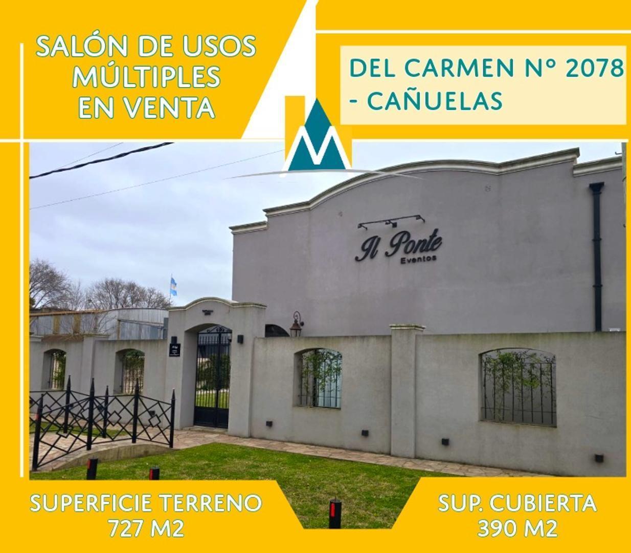 Foto de SALÓN DE USOS MÚLTIPLES EN VENTA - CAÑUELAS, imagen 1
