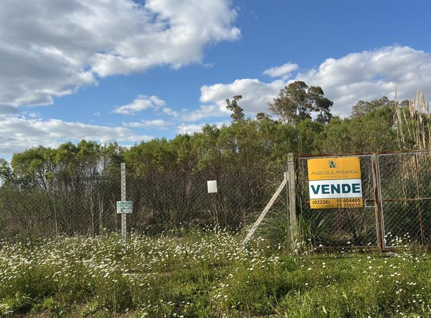 Foto de LOTES-TERRENO EN CAÑUELAS-SANTA MARIA 1, imagen 4