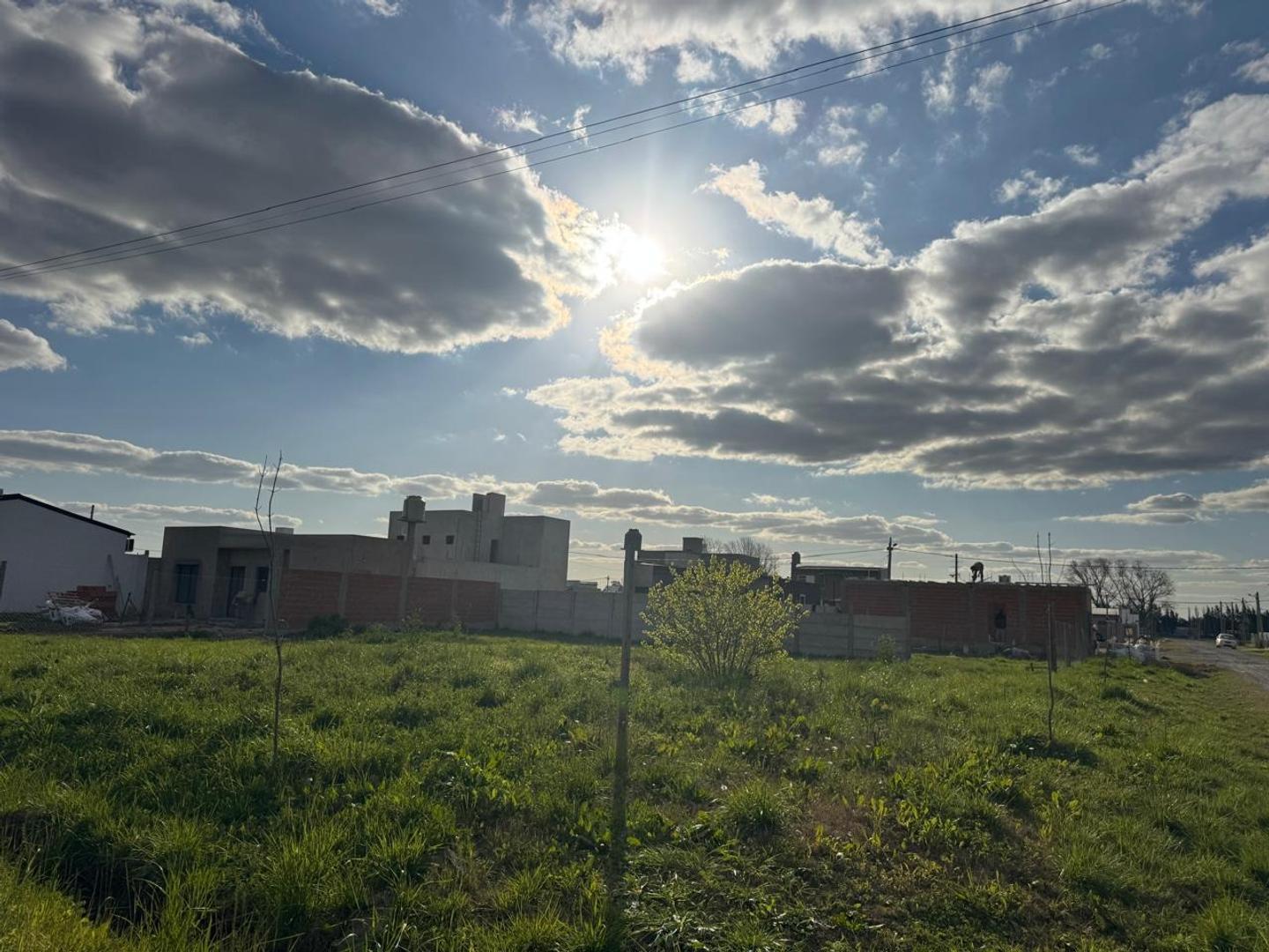 Foto de TERRENO EN VENTA - PETIÓN CHICO, imagen 4