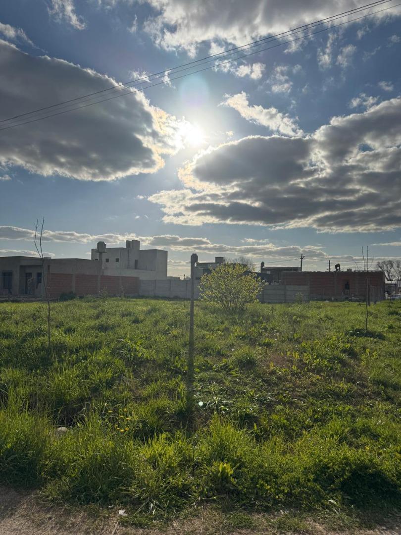 Foto de TERRENO EN VENTA - PETIÓN CHICO, imagen 2