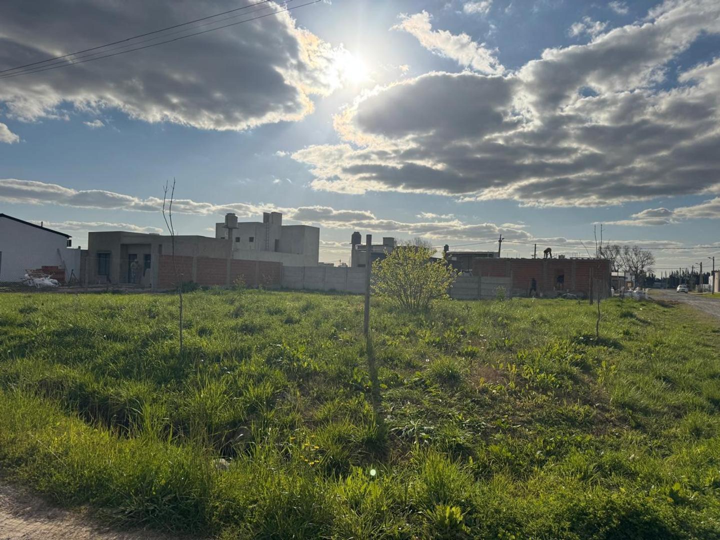 Foto de TERRENO EN VENTA - PETIÓN CHICO, imagen 5