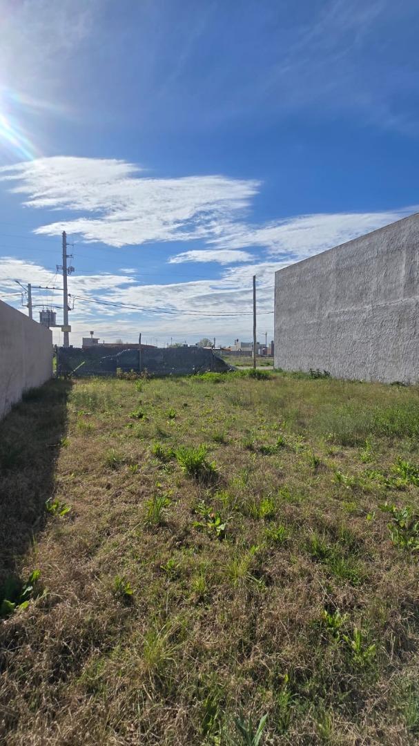 Foto de TERRENO EN VENTA - SANTA MARÍA I - CAÑUELAS, imagen 5