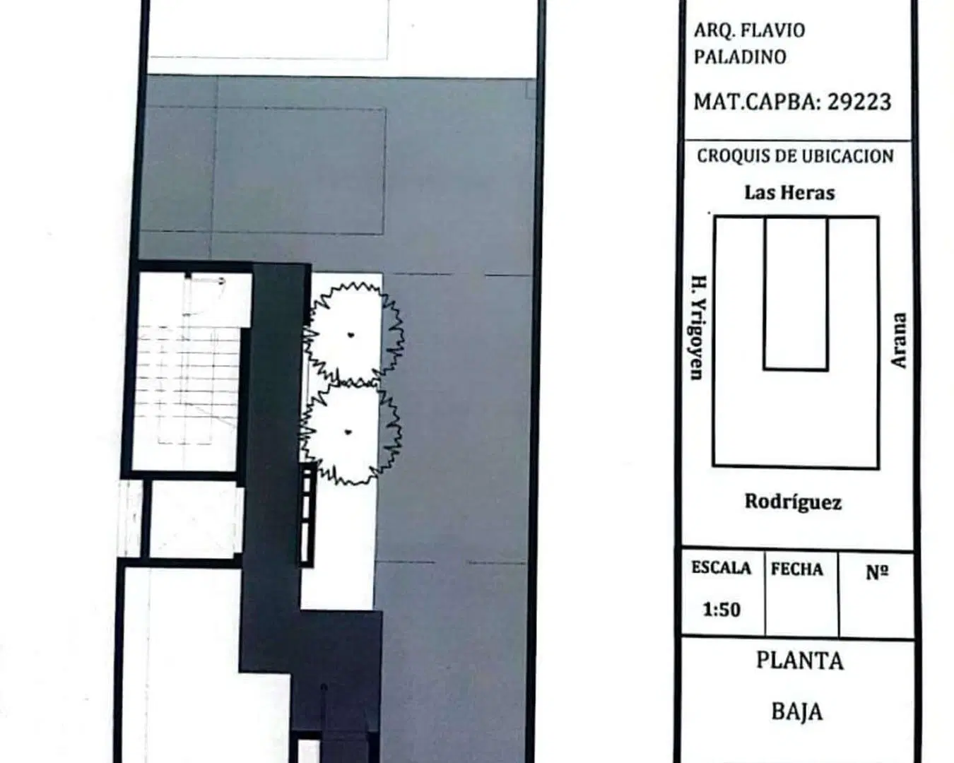 Plano 1