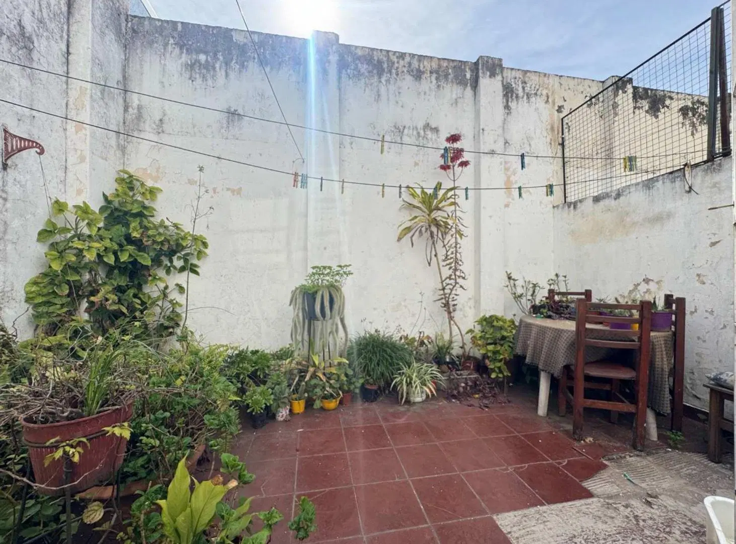 VENTA PH 3 AMB 2 PATIOS GENERAL SAN MARTIN 4