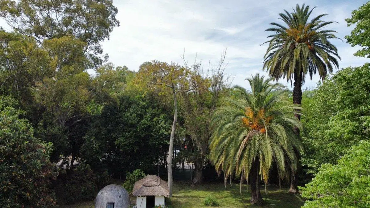 Lote y proyecto 2200 mts construibles Cno La Bota 4