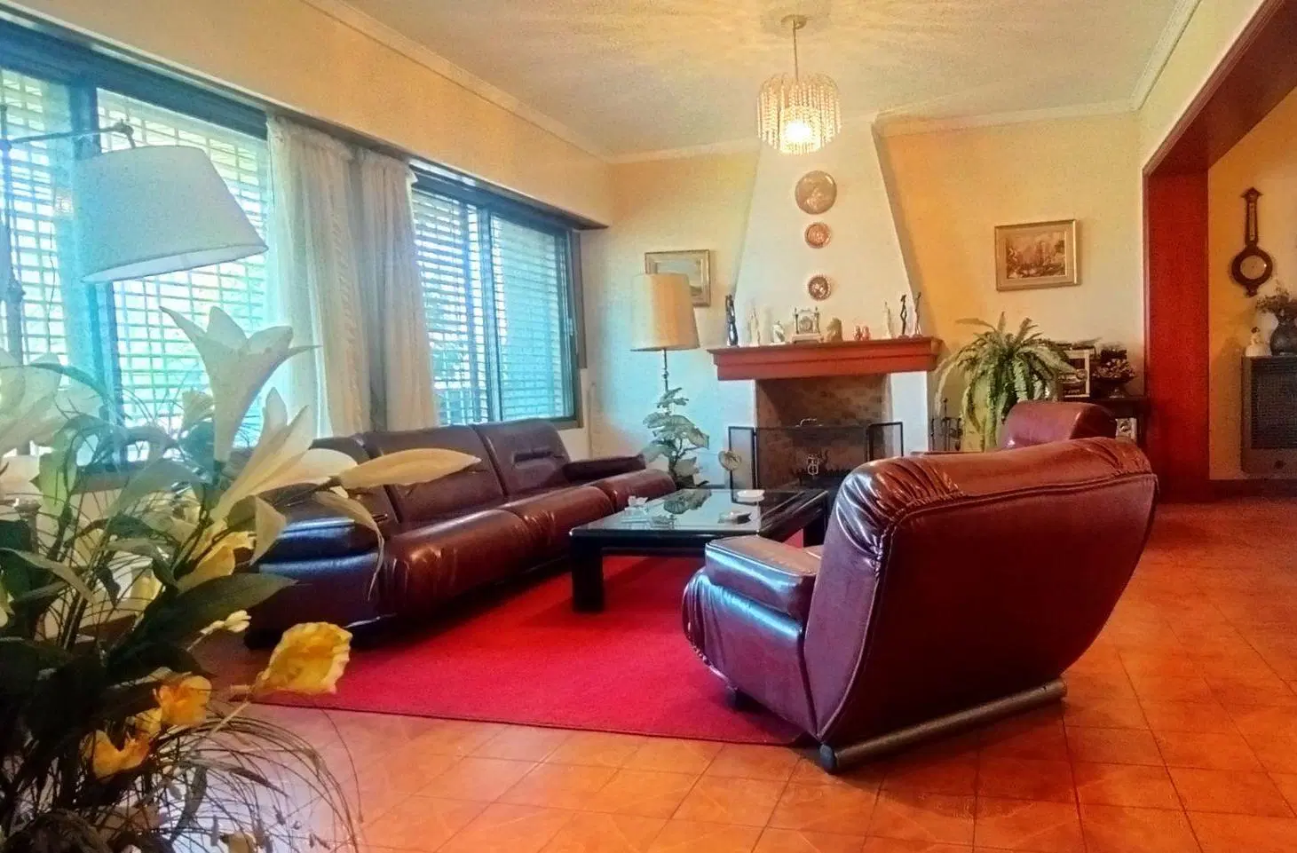 CASA EN VENTA 6 AMBIENTES JOSE MARMOL GRAN TERRENO 5