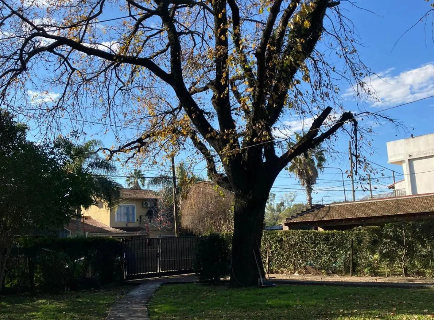 Casa 4 Ambientes sobre Lote de 850m2, Don Torcuato 5