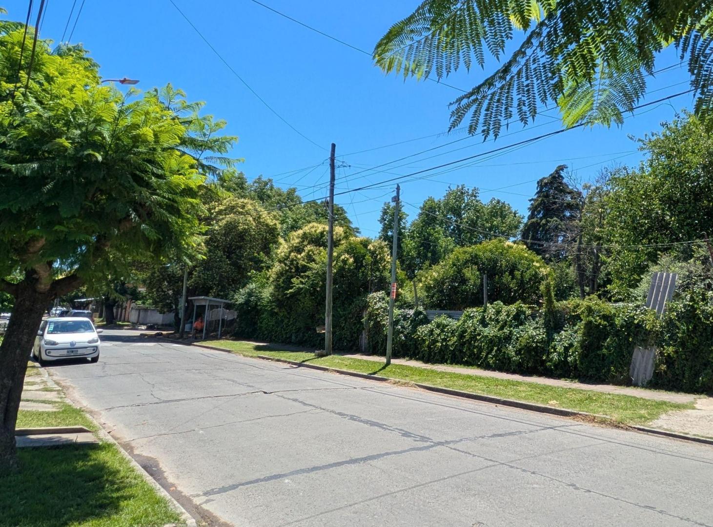 Foto de Venta 3 lotes en Castelar 1.000 m² 30 m de frente, imagen 5