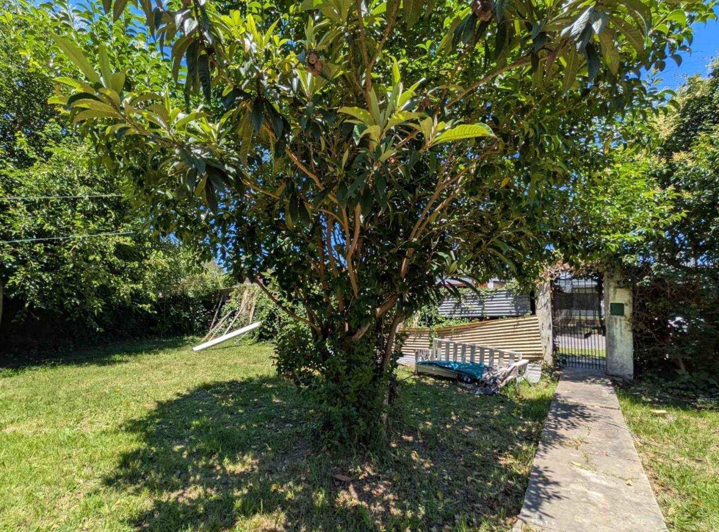 Foto de Venta 3 lotes en Castelar 1.000 m² 30 m de frente, imagen 2