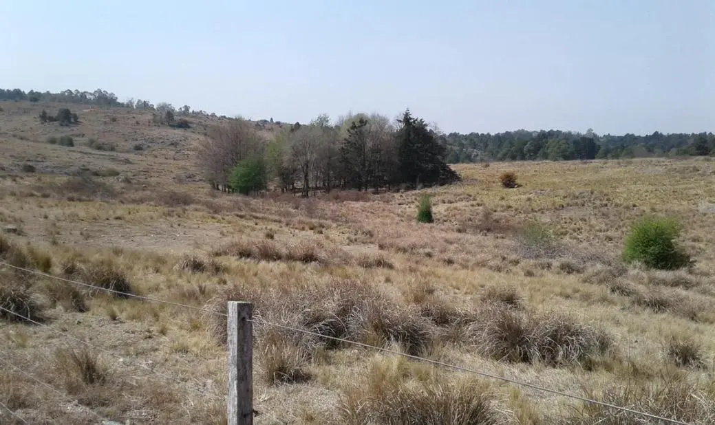 VENTA EN VILLA BERNA, 3 HECTAREAS SOBRE LA RUTA S273 (109) VALLE DE CALAMUCHITA 5