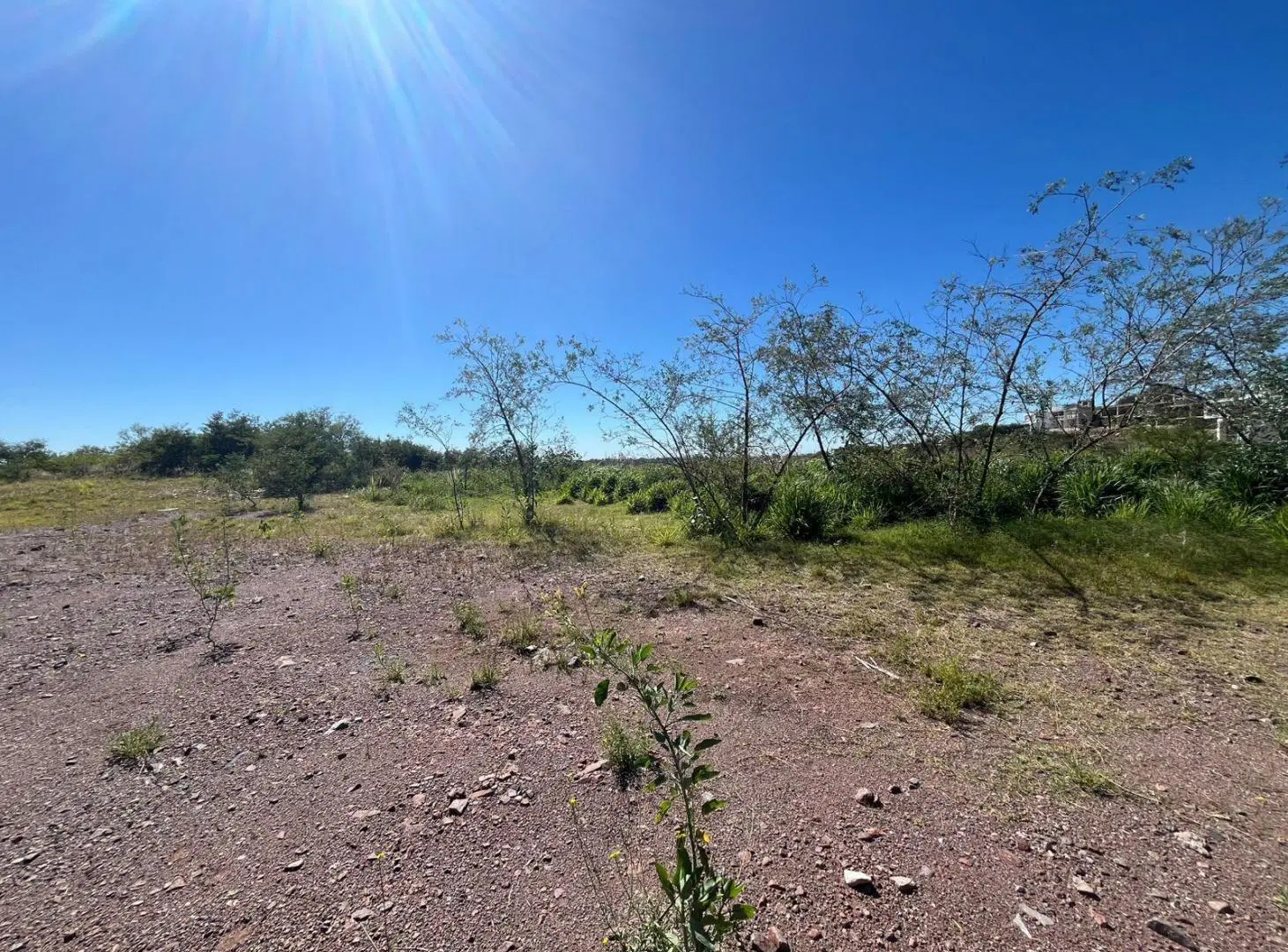 se vende Lote para desarrollar en villa allende 5