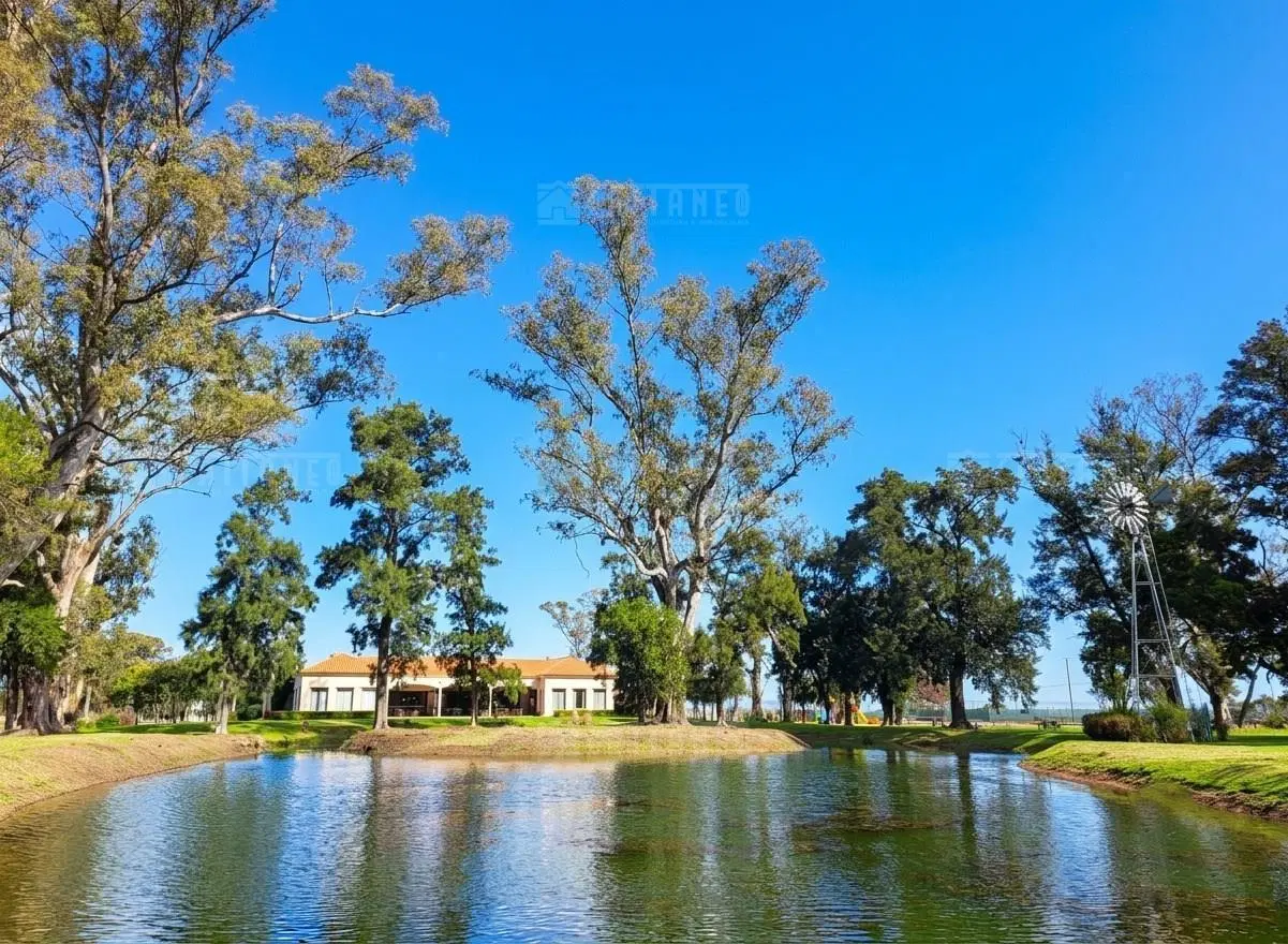 Terreno Lote  en Venta en San Lucas, San Vicente, G.B.A. Zona Sur 5