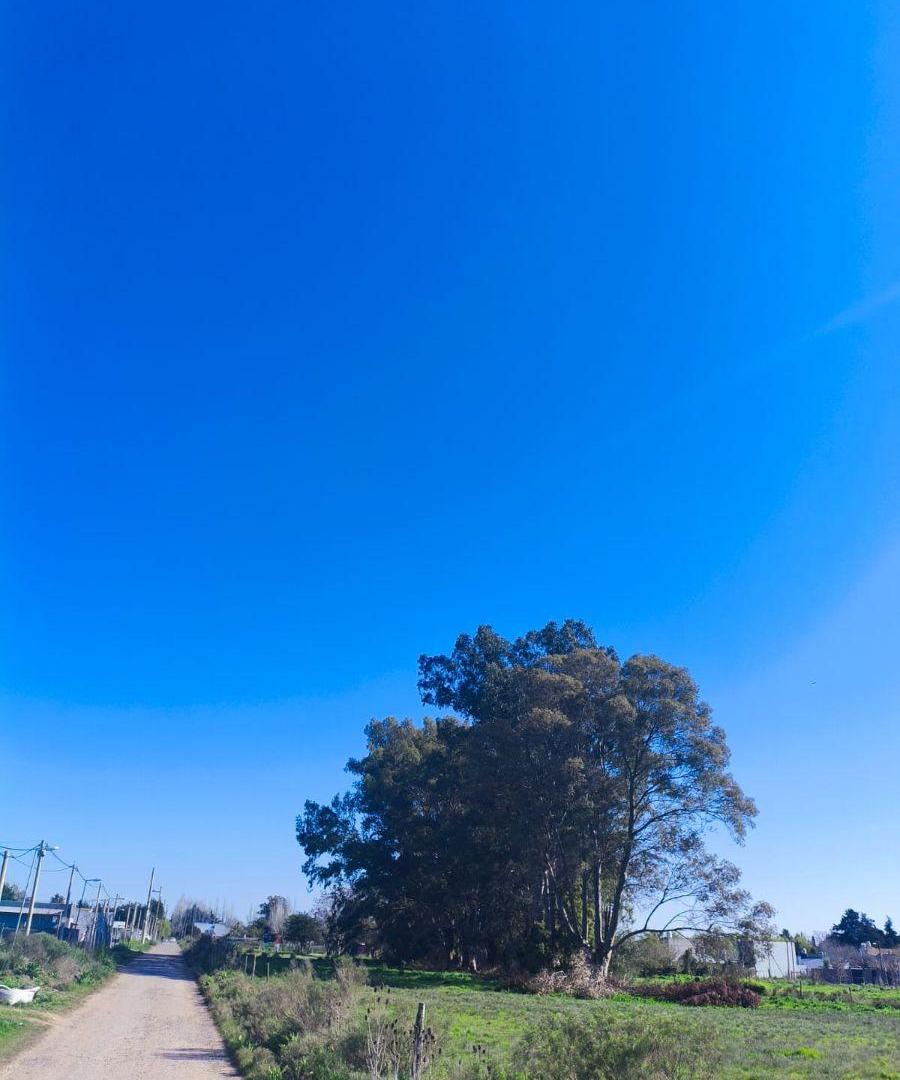 Foto de Lote en venta, imagen 5