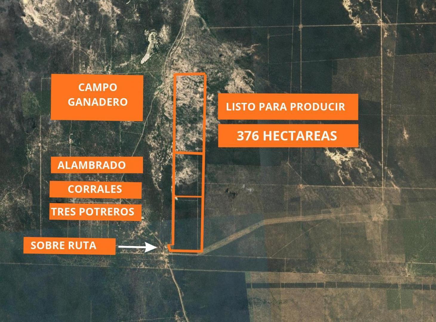 Foto de CAMPO GANADERO EN VENTA 376 HECTAREAS, imagen 1
