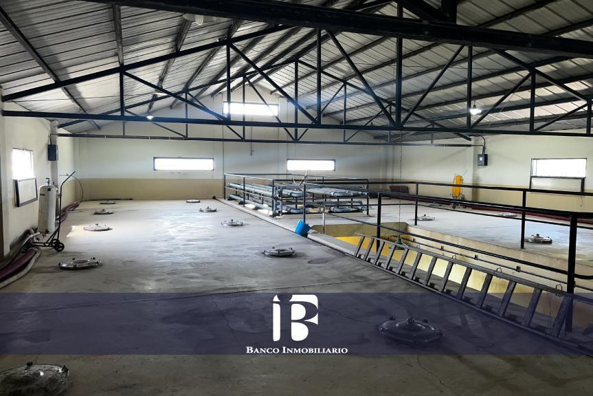 Bodega en Zona Este 4