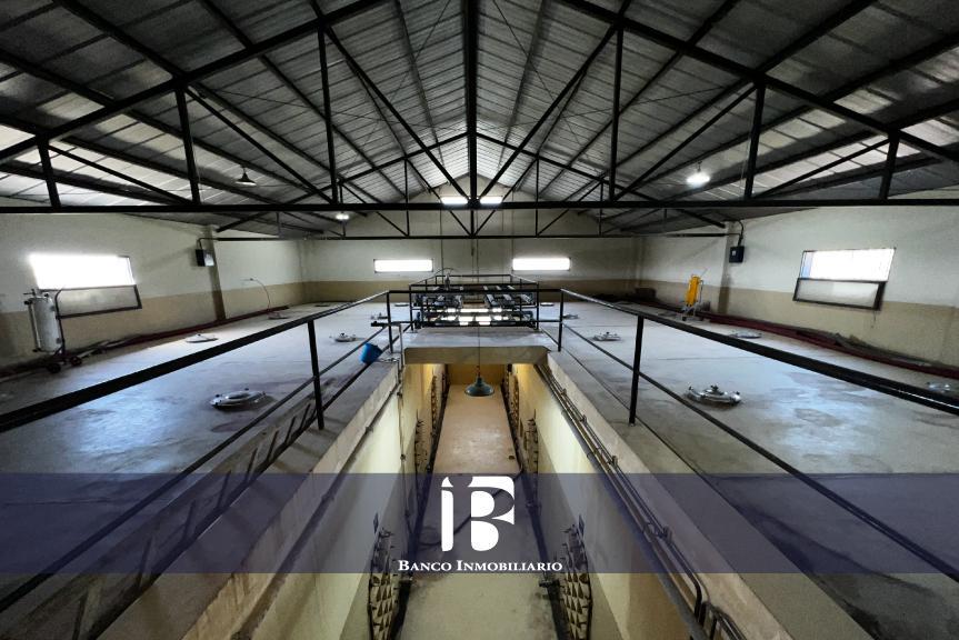 Bodega en Zona Este 1