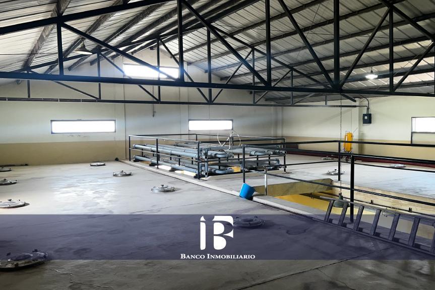 Bodega en Zona Este 5