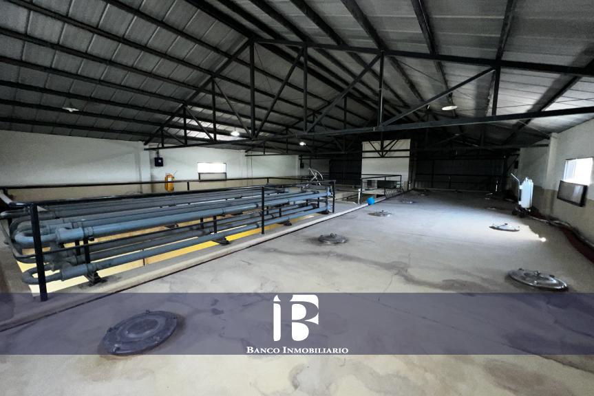 Bodega en Zona Este 5