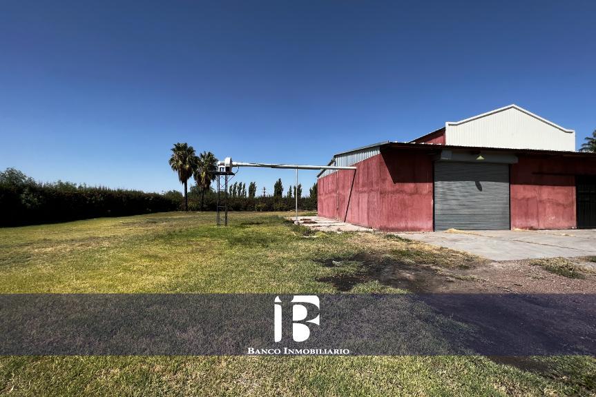 Bodega en Zona Este 3