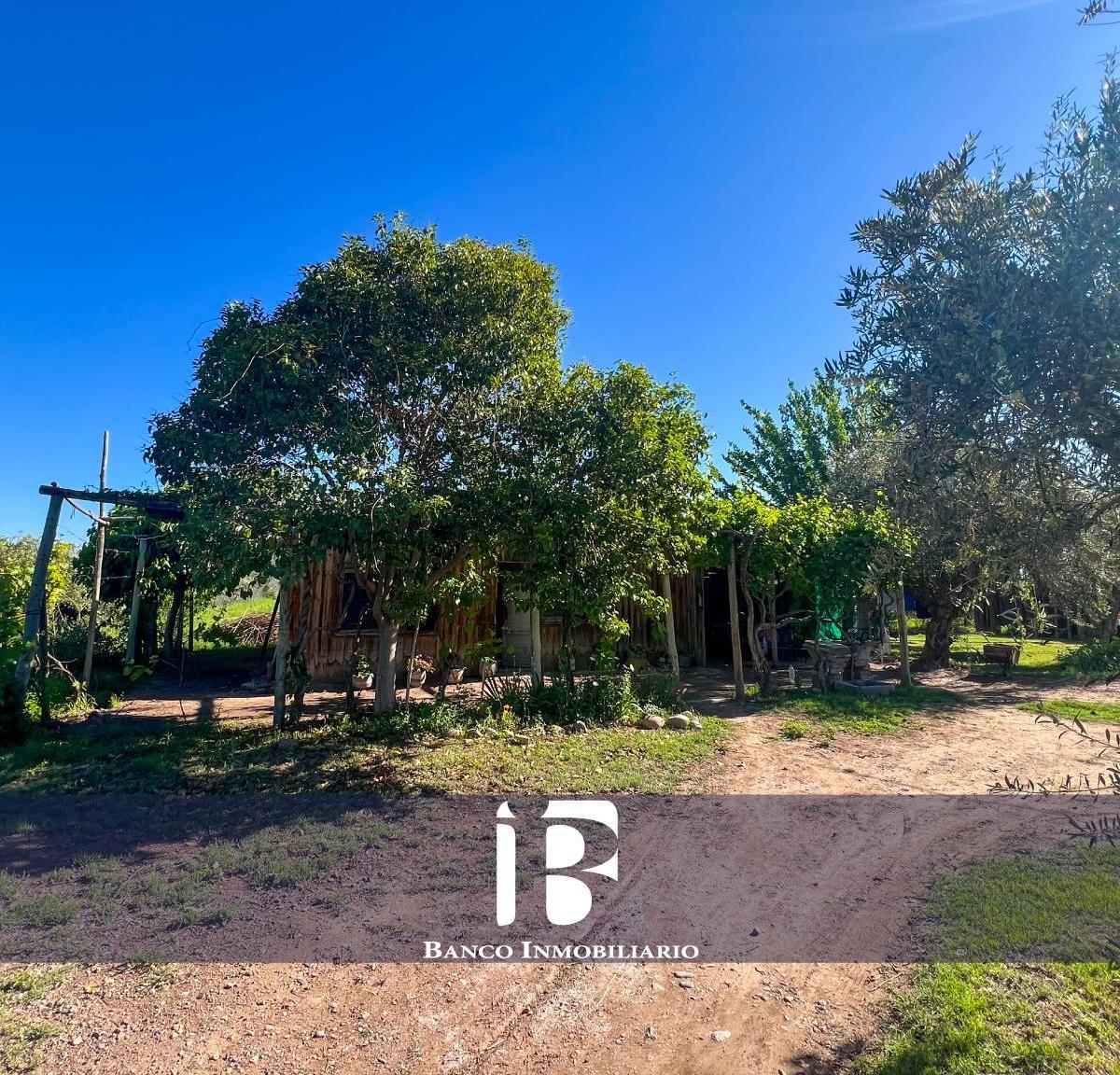 Finca en San Roque. Maipu 3