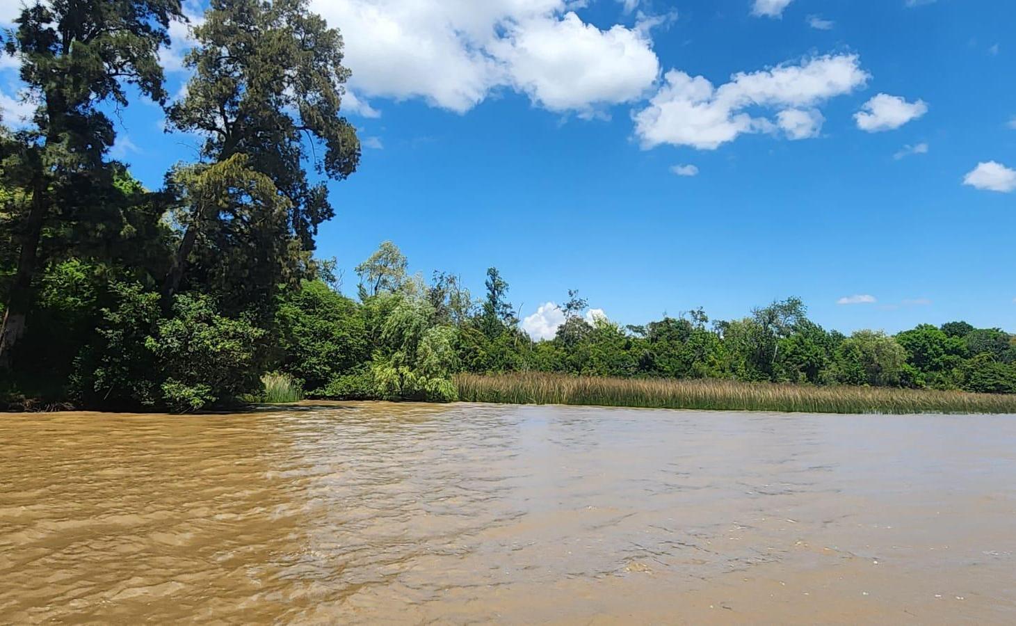 Terreno en venta en Primera Sección de Islas del Delta de Tigre