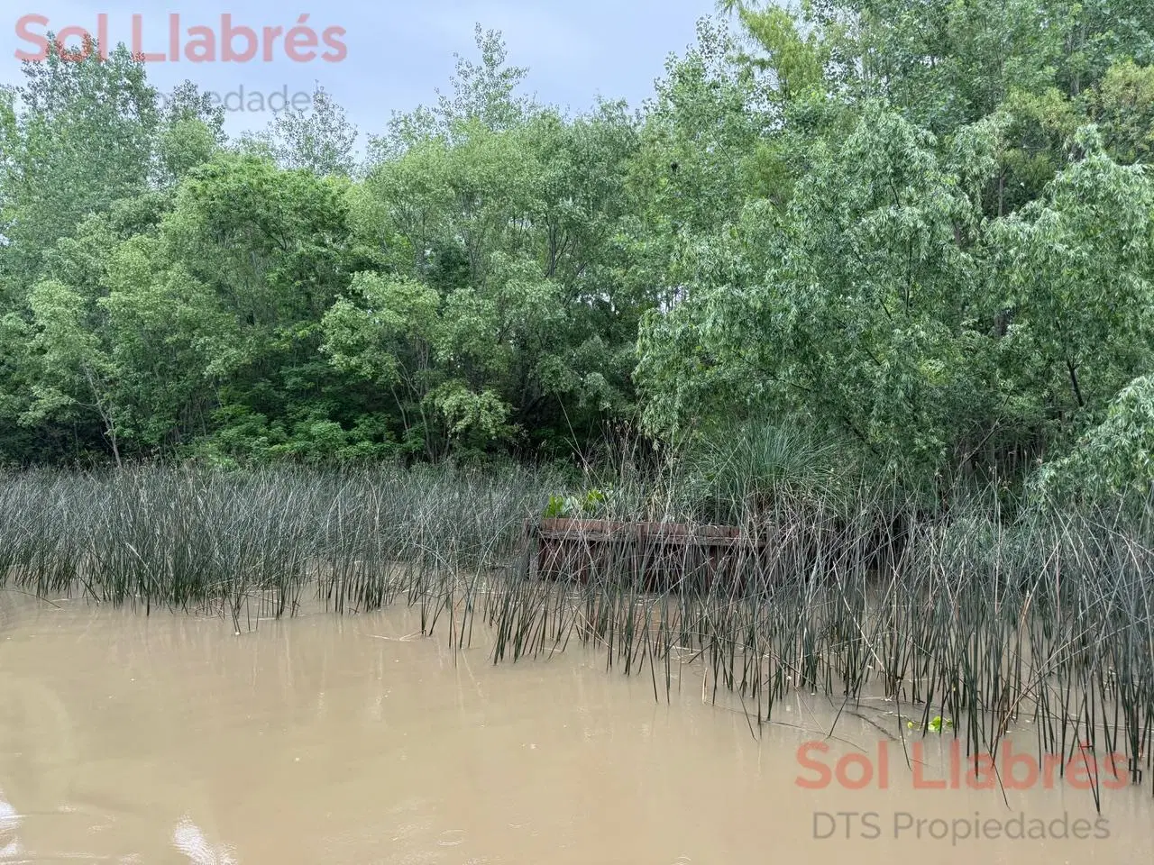 Casa en venta en Islas del Delta de Tigre 5