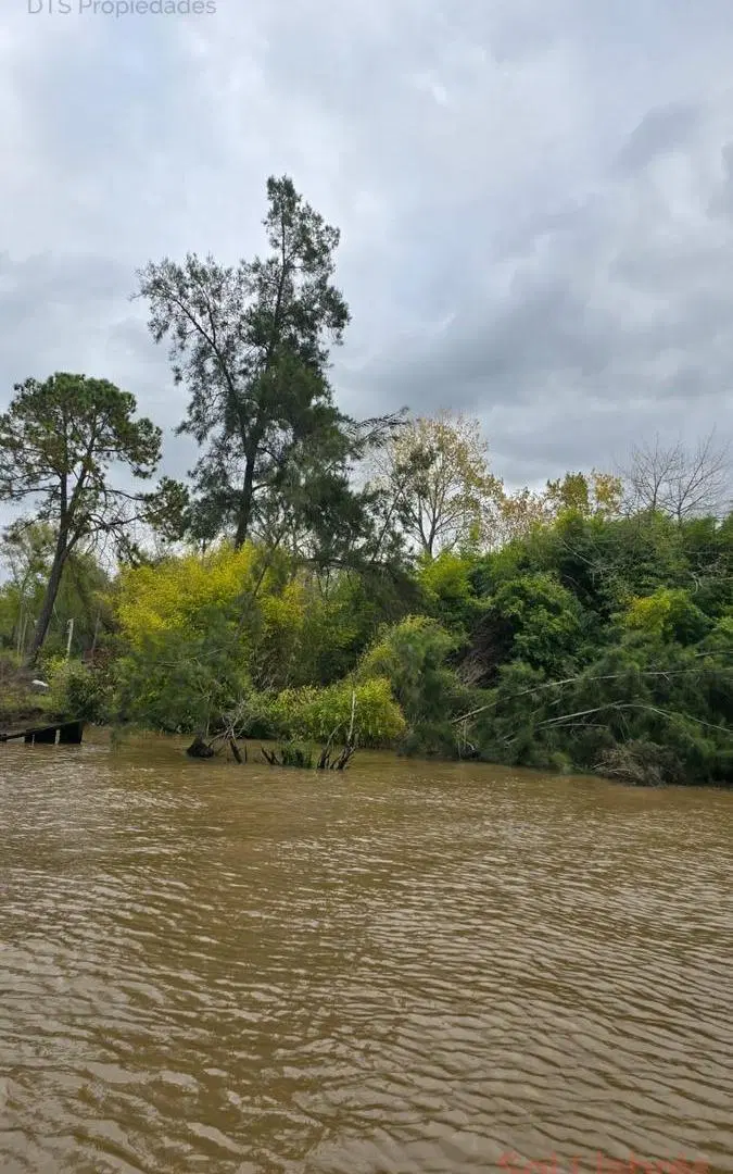 Terreno en venta en Islas del Delta de Tigre 5