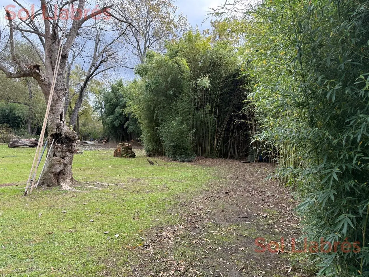 Terreno en venta en Islas del Delta de Tigre 1