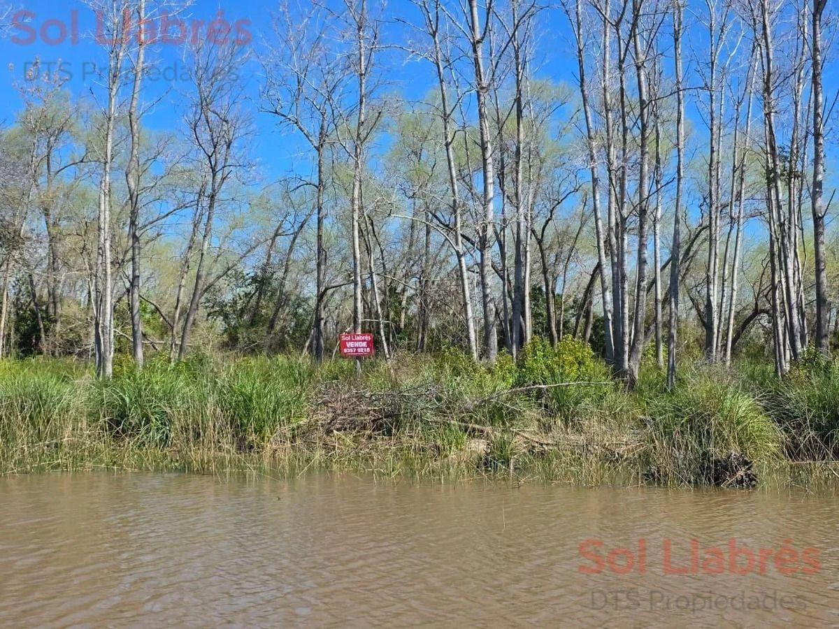 Foto de Terreno En Venta En Islas Del Delta De Tigre, imagen 4