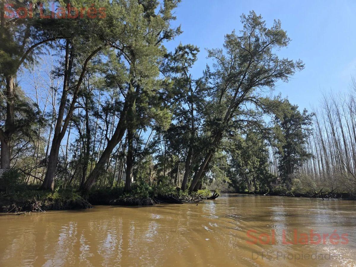 Foto de Terreno En Venta En Primera Sección De Islas Del Delta De Tigre, imagen 3